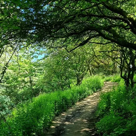 Дом отдыха The Bay - Corner *